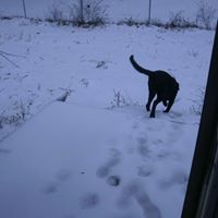 Penny Conner Photo 16