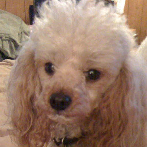 Rhonda Carroll Photo 28