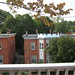 Roberta Maple Photo 5
