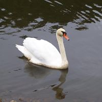 Dawn Pritt Photo 6