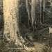 William Gearhart Photo 25