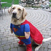 Jake Justice Photo 36