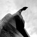 Heather Luna Photo 37