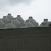 Tom Monaghan Photo 21