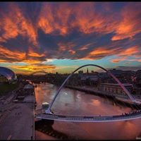 Phillip Clements Photo 13