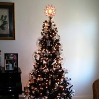 Lisa Holmes Photo 28