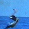 Chris Thomas Photo 19