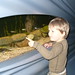 Gayle Fritz Photo 22