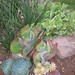 Sue Rowe Photo 11