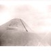 Douglas Andrus Photo 19