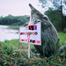 Alan Rowland Photo 9