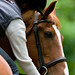 Sarah Henry Photo 15