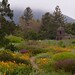 Barbara Dougherty Photo 32