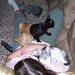 Arlene Lay Photo 10