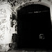 Emilio Forte Photo 16