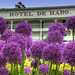 Juan Haro Photo 10