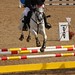 Fred Kilpatrick Photo 8
