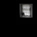 Tyrone Dark Photo 11