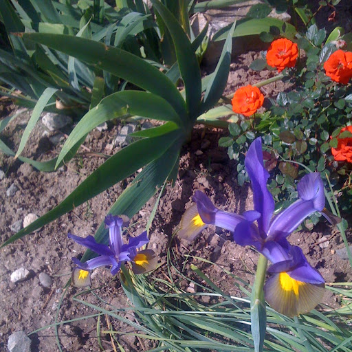 Mary Clement Photo 42