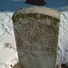 Thomas Fleming Photo 21