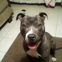 Debra Meeks Photo 16
