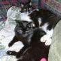 Sandy Knowles Photo 22