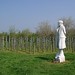 Dawn Farr Photo 23