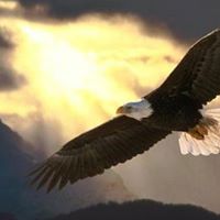 Roger Young Photo 31