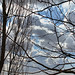 Jeanne Deville Photo 12