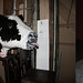 Sam Hightower Photo 20