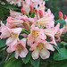 Barbara Larson Photo 33