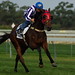 Brian Mayfield Photo 14