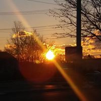 Donald Rowe Photo 24