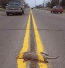 Richard Thacker Photo 25