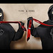Ying Yang Photo 40