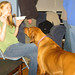 Beth Cook Photo 43