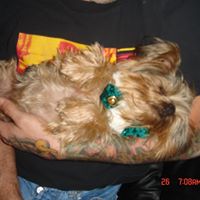 Raymond Schultz Photo 17