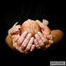 Samuel Cheng Photo 40