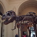 Sue Rex Photo 16