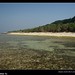 Hsin Cheng Photo 12