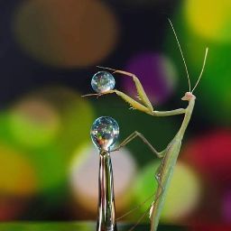 Robyn Rich Photo 23