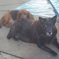 Connie Meeks Photo 32