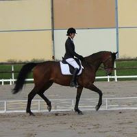 Lisa Zink Photo 8
