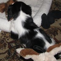 Paulette Beck Photo 2