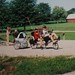 Dana Brown Photo 22