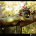 Adrian Baeza Photo 33