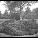 Walter Warren Photo 42