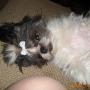Jennifer Nadeau Photo 11