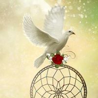 Debra Locke Photo 23