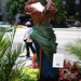 Heather Bird Photo 20